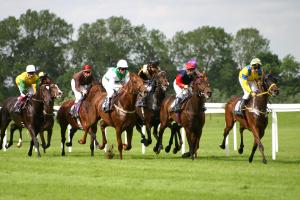 Exciting Up and Coming Horseracing Events in the UK